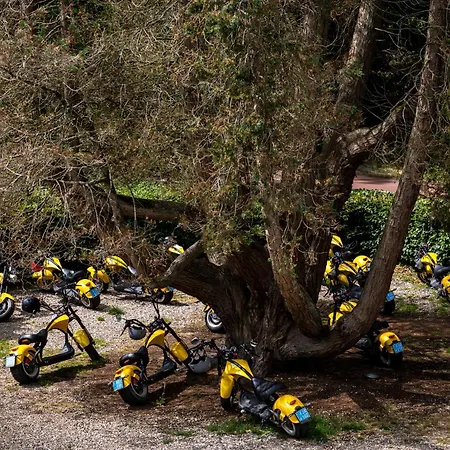 Szálloda Boutique Hotel-restaurant 